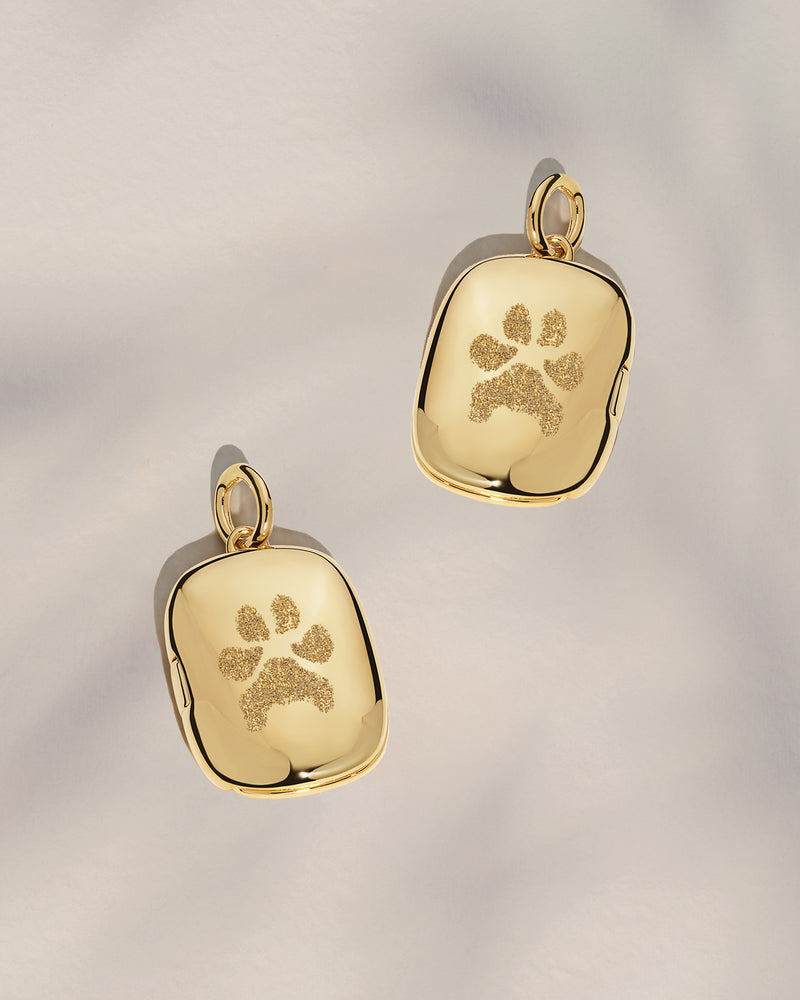 The Double Sided Paw Print Rectangle Locket Pendant